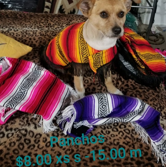 Meet your Posher, Patty - Picture 3 of 4